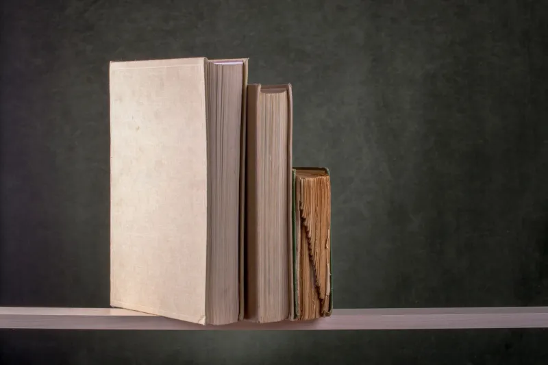 The Books Hiding in Plain Sight: 7 Overlooked Reads That Belong on Every American Bookshelf