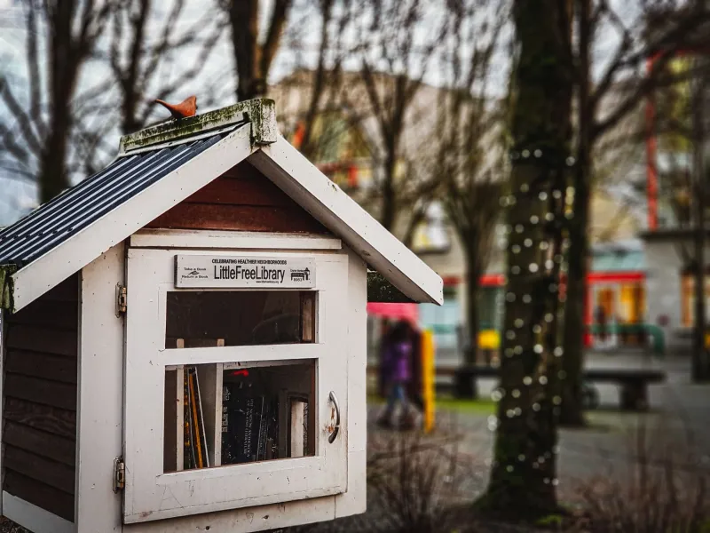 Your Neighbor Left You a Book Last Night and Didn't Even Knock