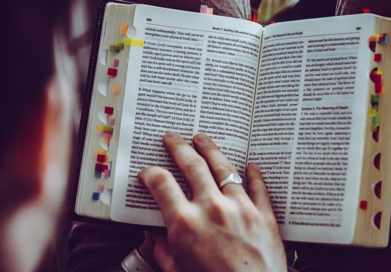 Margin Notes Are Having a Moment — and Readers Are Sharing Every Single One