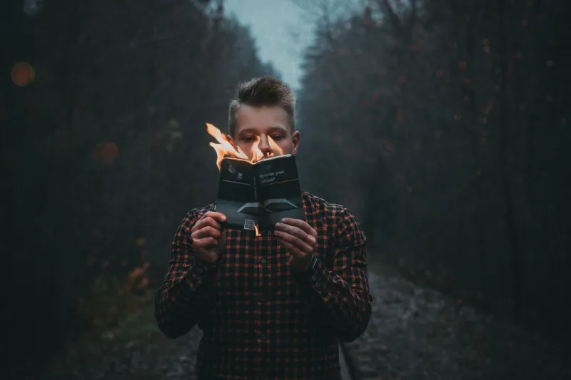 Furious Pages: How Readers Are Using Angry Books to Get Through Angry Times