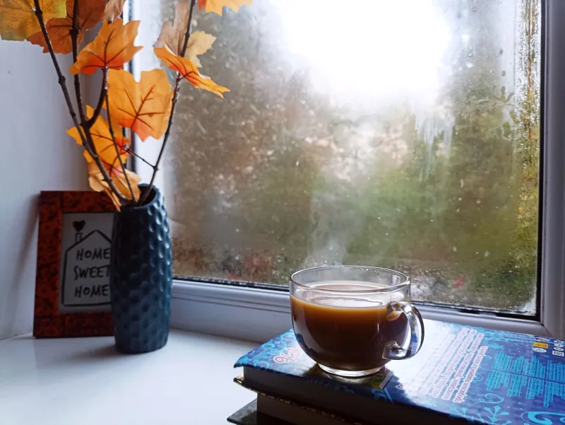 One Rainy Saturday, One Perfect Book: 12 Short Reads You Can Finish Before Dinner