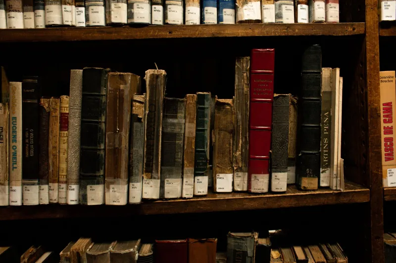 The Price of Loving Books: What It Really Costs to Be a Collector in Today's Market